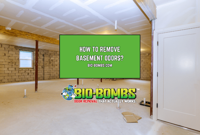 How to Remove Basement Odors?