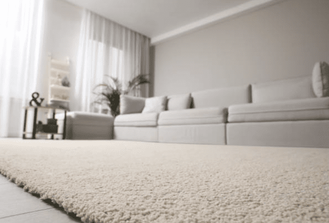 How to Eliminate Carpet Odors