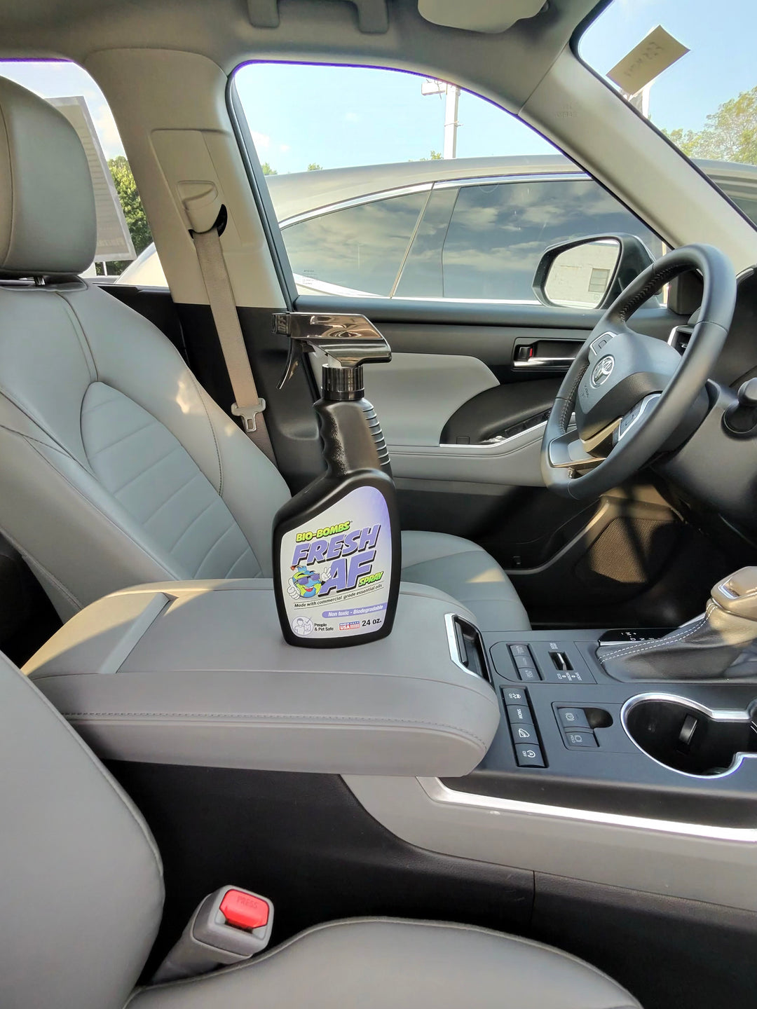 Fresh AF Air Freshener Spray